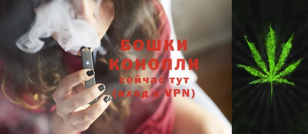 сатива Володарск