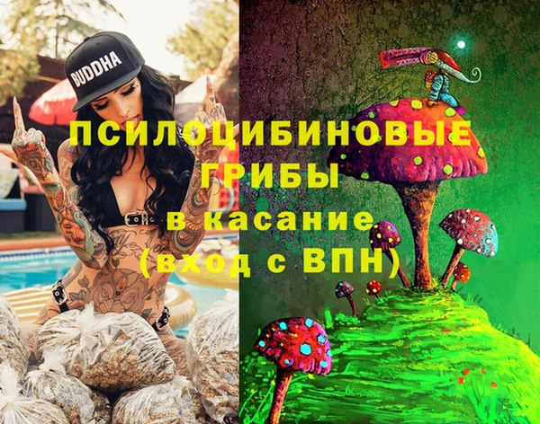 сатива Володарск