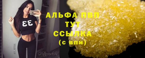 сатива Володарск