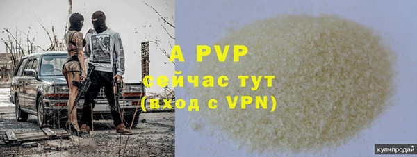 сатива Володарск