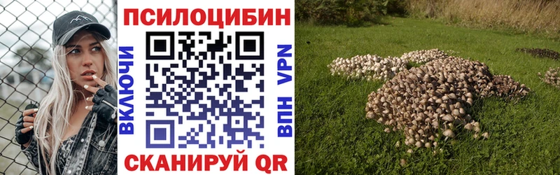 Псилоцибиновые грибы мухоморы  ОМГ ОМГ ссылки  Орехово-Зуево  как найти наркотики 